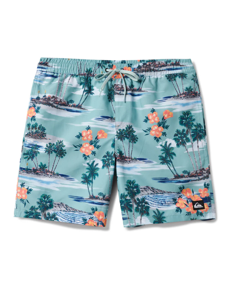 Quiksilver Mens Everyday Mix 17" Swim Trunks