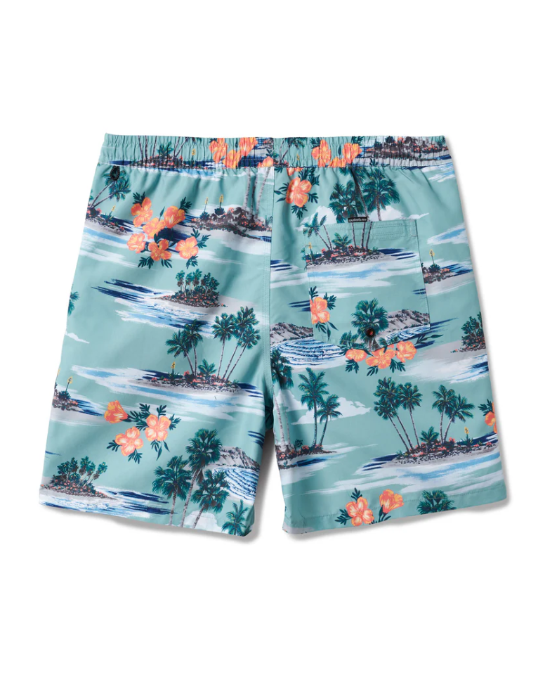 Quiksilver Mens Everyday Mix 17" Swim Trunks