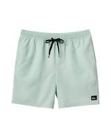 Quiksilver Mens Everyday Solid 17" Swim Trunks
