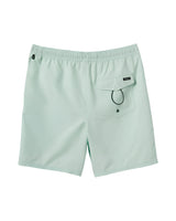 Quiksilver Mens Everyday Solid 17" Swim Trunks