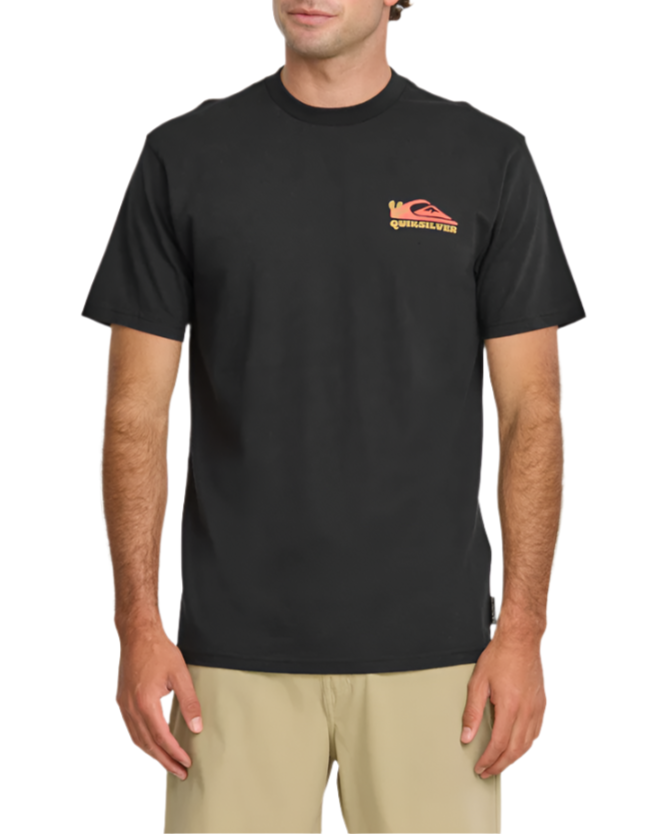 Quiksilver Mens Everyday Paradise STW Short Sleeve T-Shirt