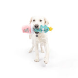 Huxley & Kent Seek 'N Treat Let's Get Lit Pawt Dog Toy