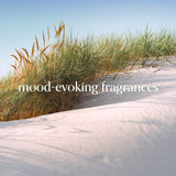 Chesapeake Bay Candle Reed Diffuser - Serene Waters