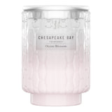 Chesapeake Bay Candle Medium Jar Candle - Ocean Blossom