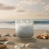 Chesapeake Bay Candle 2-Wick Large Jar Candle - Salted Sands