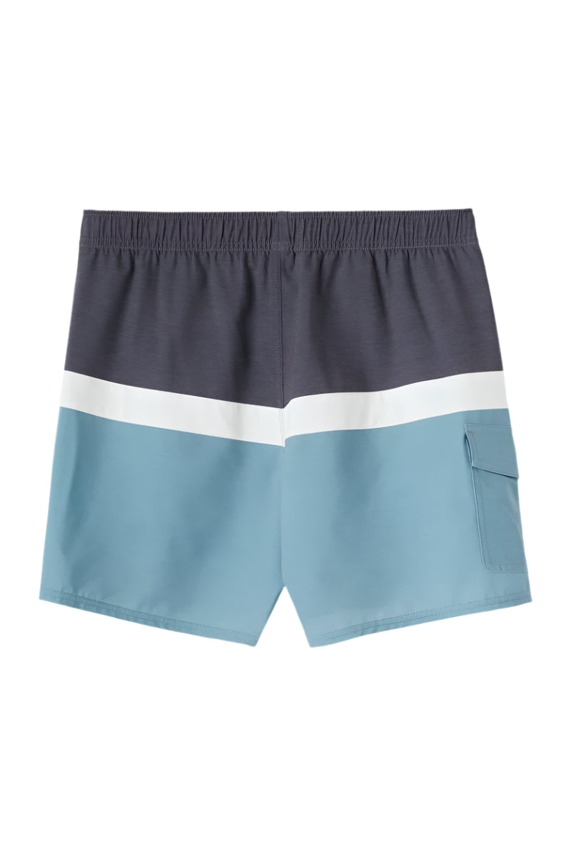 O'Neill Mens O'riginals Horizon Volley 16" Swim Trunks