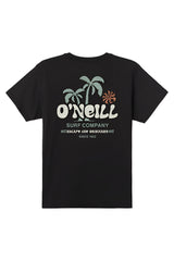 O'Neill Mens Loose Standard Fit Short Sleeve T-Shirt