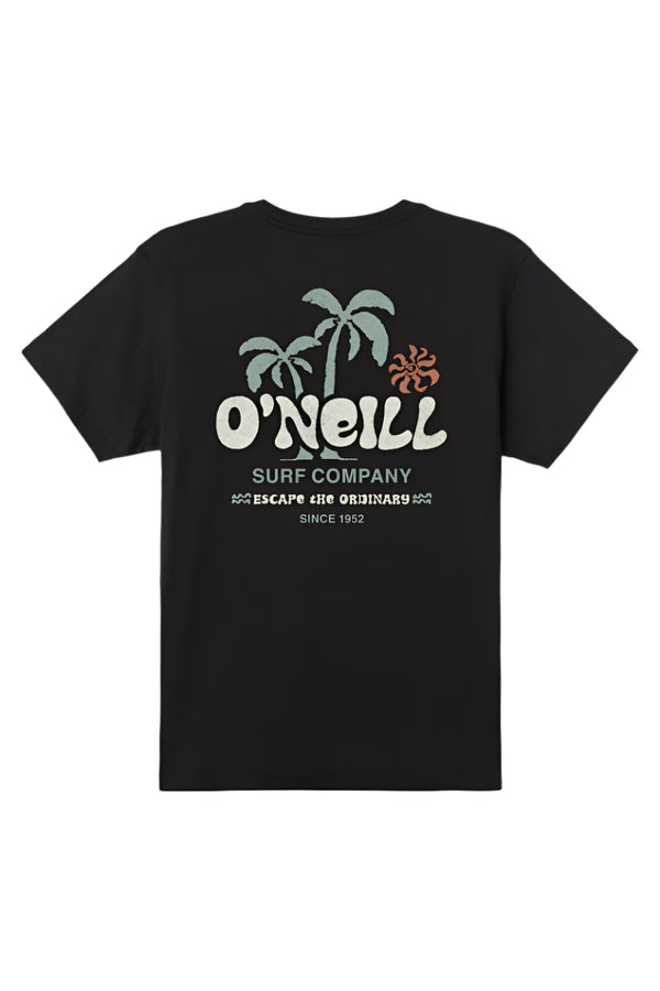 O'Neill Mens Loose Standard Fit Short Sleeve T-Shirt