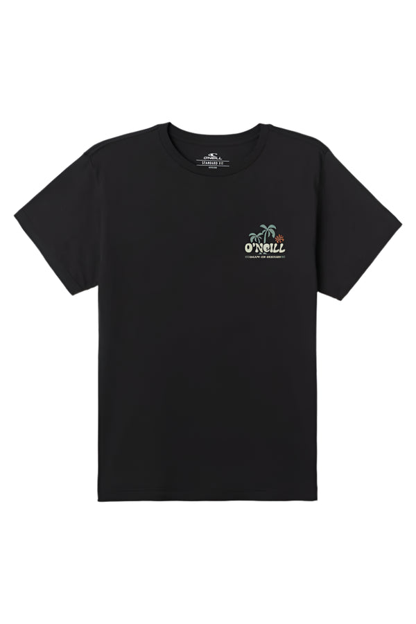 O'Neill Mens Loose Standard Fit Short Sleeve T-Shirt