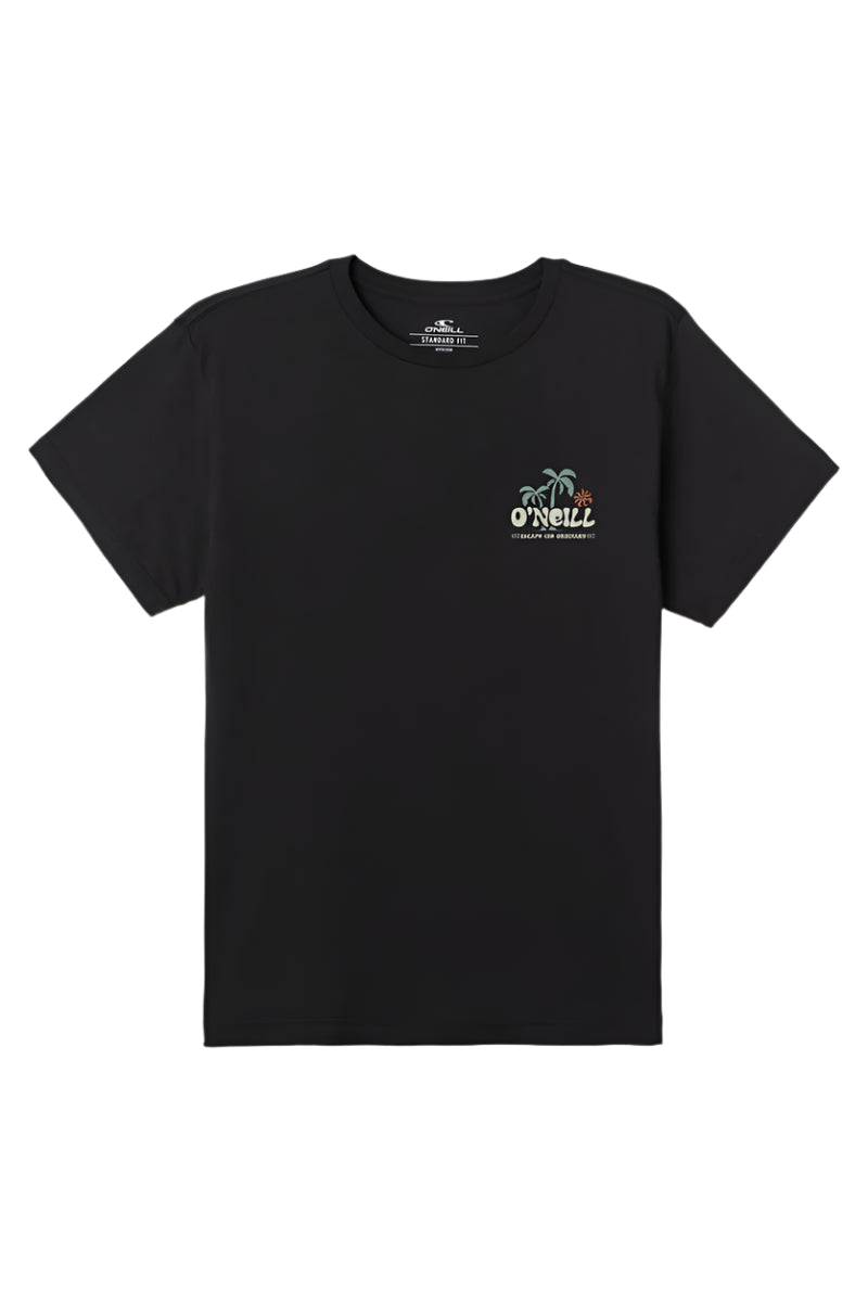 O'Neill Mens Loose Standard Fit Short Sleeve T-Shirt