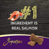 Zignature Salmon Formula Ziggy Bars Biscuit Dog Treats - 12 oz.