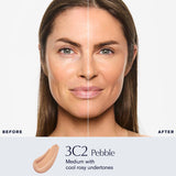 Estee Lauder Double Wear Stay-in-Place Longwear Matte Foundation - 3C2 Pebble