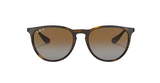 Ray-Ban Erika Non-Polarized Sunglasses - Tortoise/Classic Green