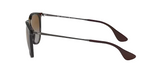 Ray-Ban Erika Non-Polarized Sunglasses - Tortoise/Classic Green