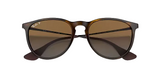 Ray-Ban Erika Non-Polarized Sunglasses - Tortoise/Classic Green