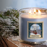 Yankee Candle 3-Wick Candle - Frosted Tracks