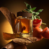 Dolce&Gabbana The One For Men Eau De Parfum Spray - 3.3 oz.