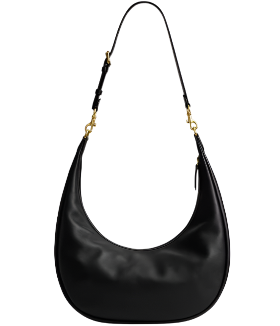 Coach Juliet Sling Crossbody Handbag