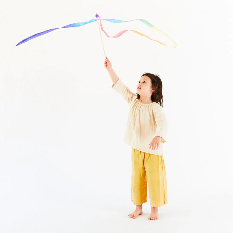 Sarah Silk's Rainbow Streamer Toy
