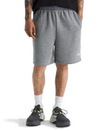The North Face Mens Evolution Simple Dome Shorts