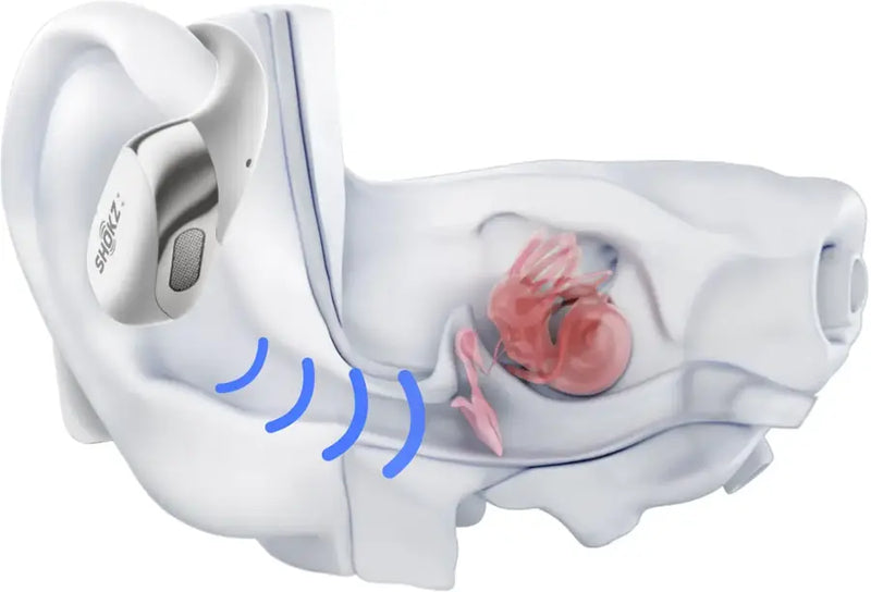 Shokz OpenFit 2+ Open-Ear True Wireless Bluetooth Earbuds