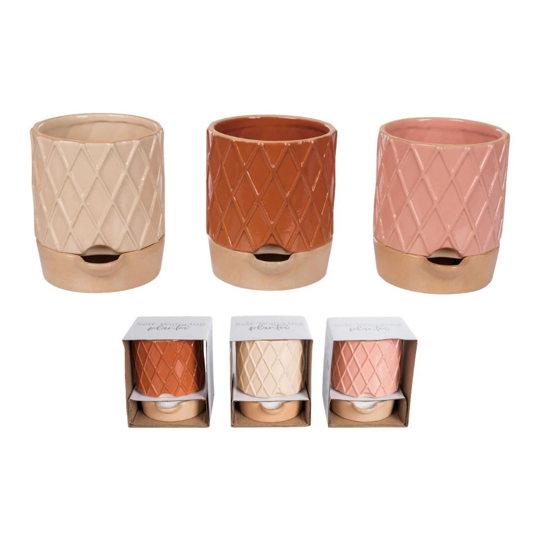 Transpac Small Etched Self Water Planter Set - 3 pc