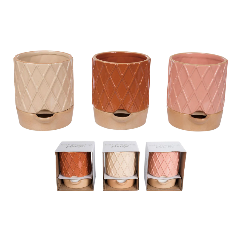 Transpac Small Etched Self Water Planter Set - 3 pc