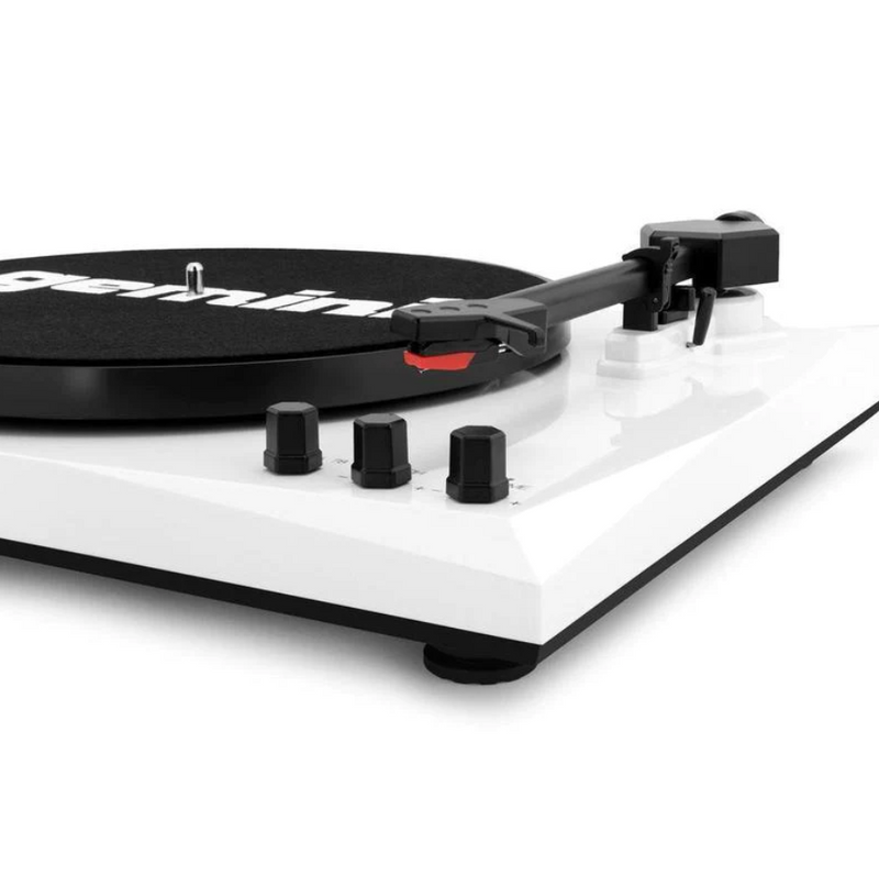 Gemini TT-900BW Stereo Turntable System