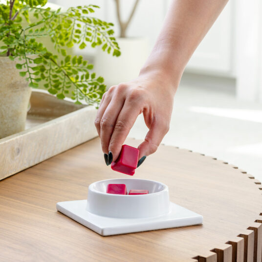 Candle Warmers Etc. Gingerbread House Canopy Fragrance Warmer