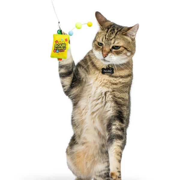 Huxley & Kent Teaser Sour Scratch Cat Wand Toy – ShopCGX
