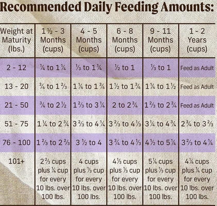 Merrick Grain Free Puppy Real Texas Beef & Sweet Potato Recipe Dry Dog Food- 22lbs.