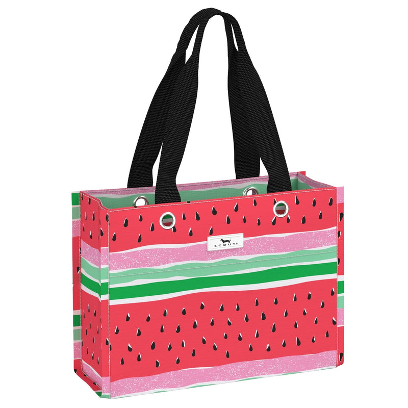 Scout Tiny Package Small Gift Bag