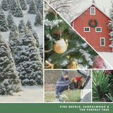 Yankee Candle Concentrated Room Spray - Tree Farm Festival