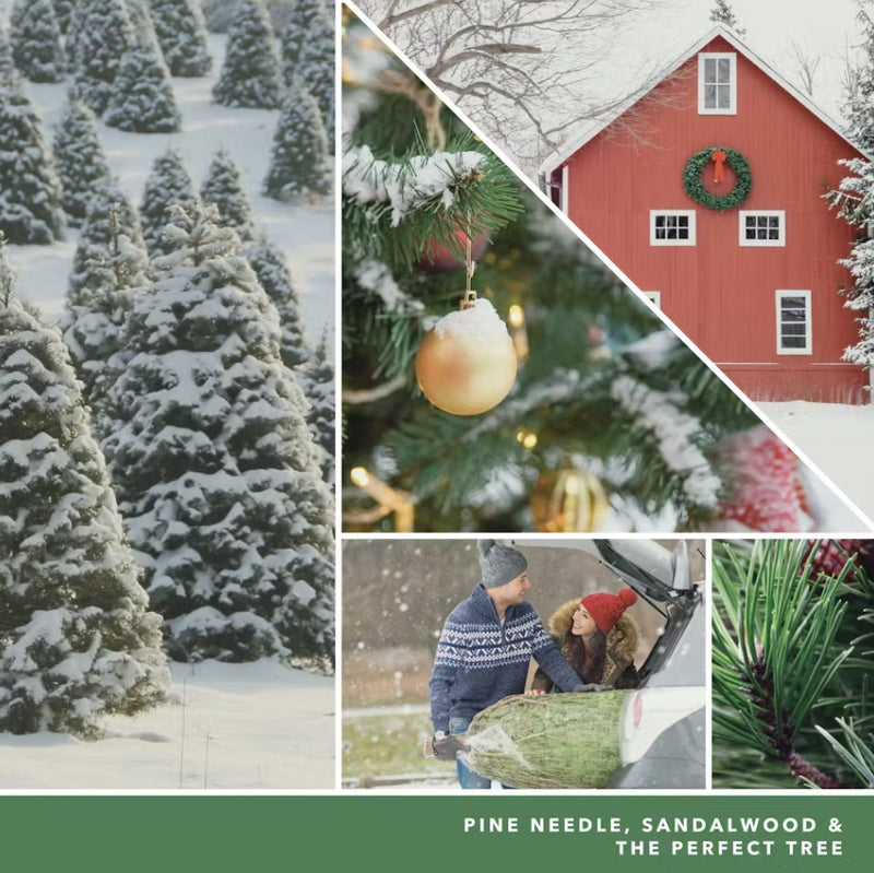 Yankee Candle Concentrated Room Spray - Tree Farm Festival