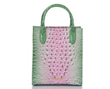 BRAHMIN Moira Tote Handbag