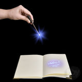 The Toy Network WOW! Harry Potter Tom Riddle's Diary Notebook Pen & Torch