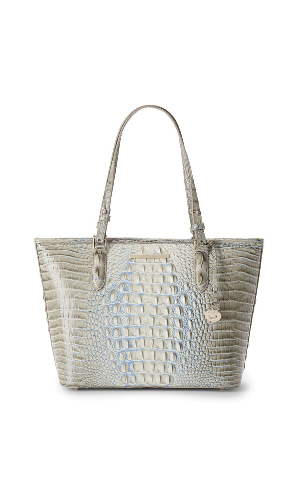 BRAHMIN Medium Asher Tote Handbag