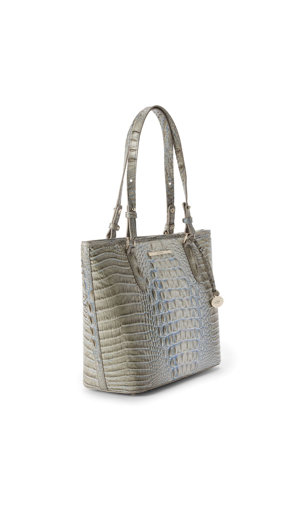 BRAHMIN Medium Asher Tote Handbag