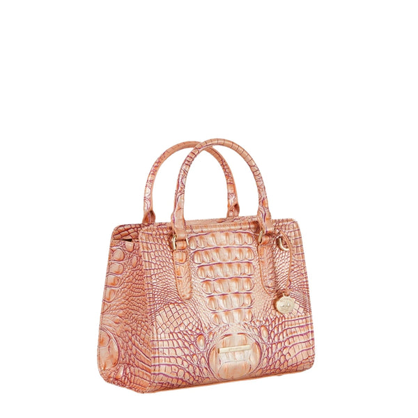 BRAHMIN Cami Satchel Handbag