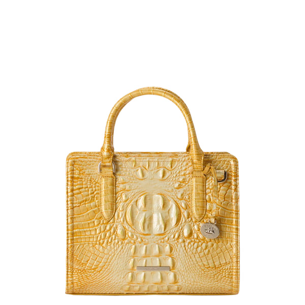 BRAHMIN Cami Satchel Handbag