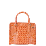 BRAHMIN Cami Satchel Handbag