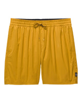 Vans Mens Primary Solid Elastic Boardshorts