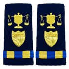 Vanguard CG Enhanced Shoulder Boards Female CWO2 Investigator