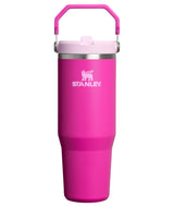 Stanley The IceFlow Flip Straw Tumbler - 30 oz.