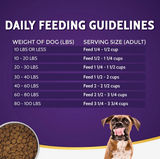 Zignature Lamb Formula Dry Dog Food - 4 lbs.