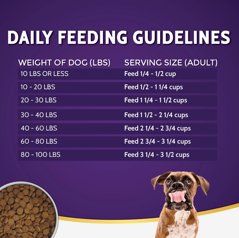 Zignature Turkey Formula Dry Dog Food - 4 lbs.