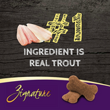 Zignature Trout Formula Ziggy Bars Biscuit Dog Treats - 12 oz.