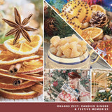 Yankee Candle Mini Candle - Holiday Zest