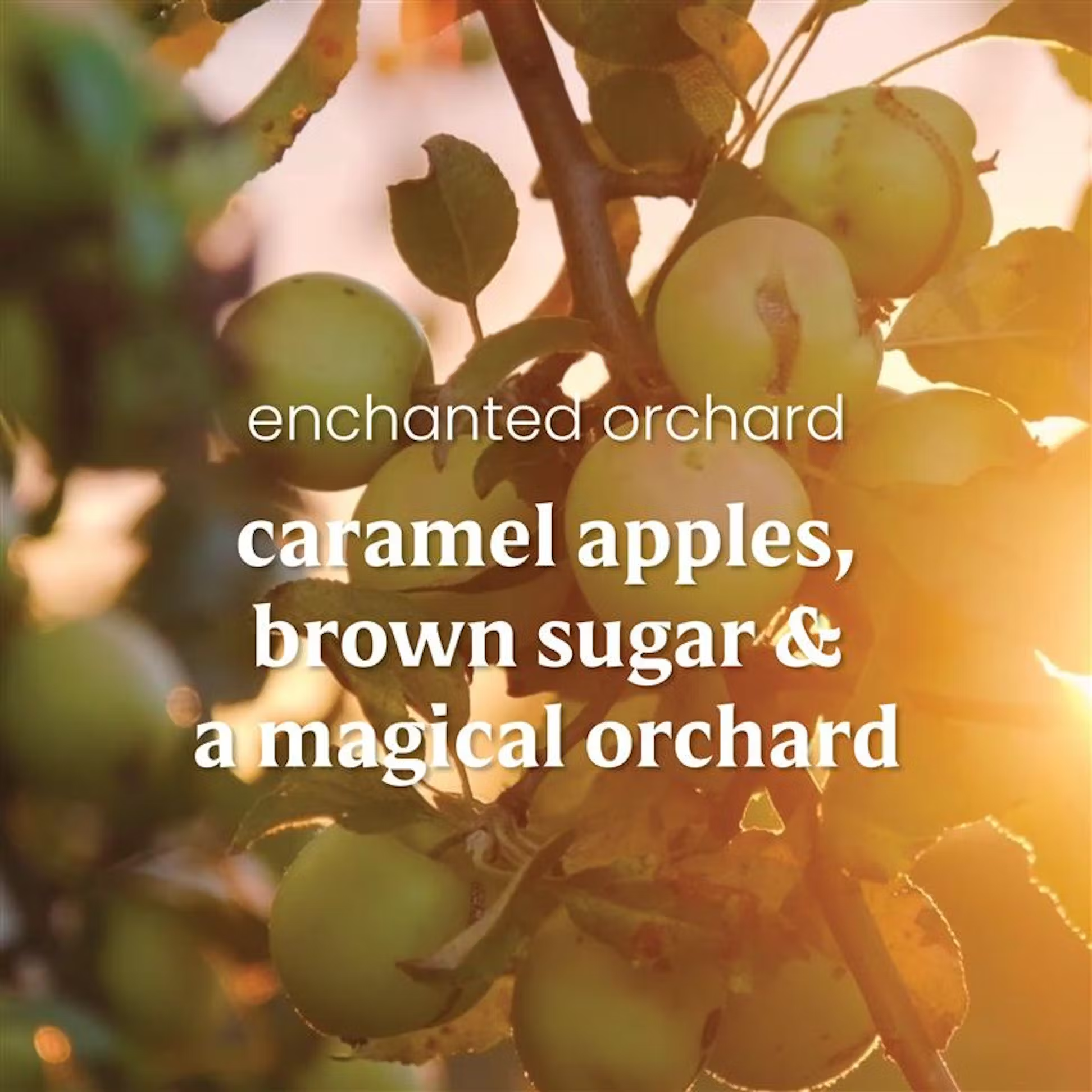 Yankee Candle Wax Melts 6-Packs - Enchanted Orchard
