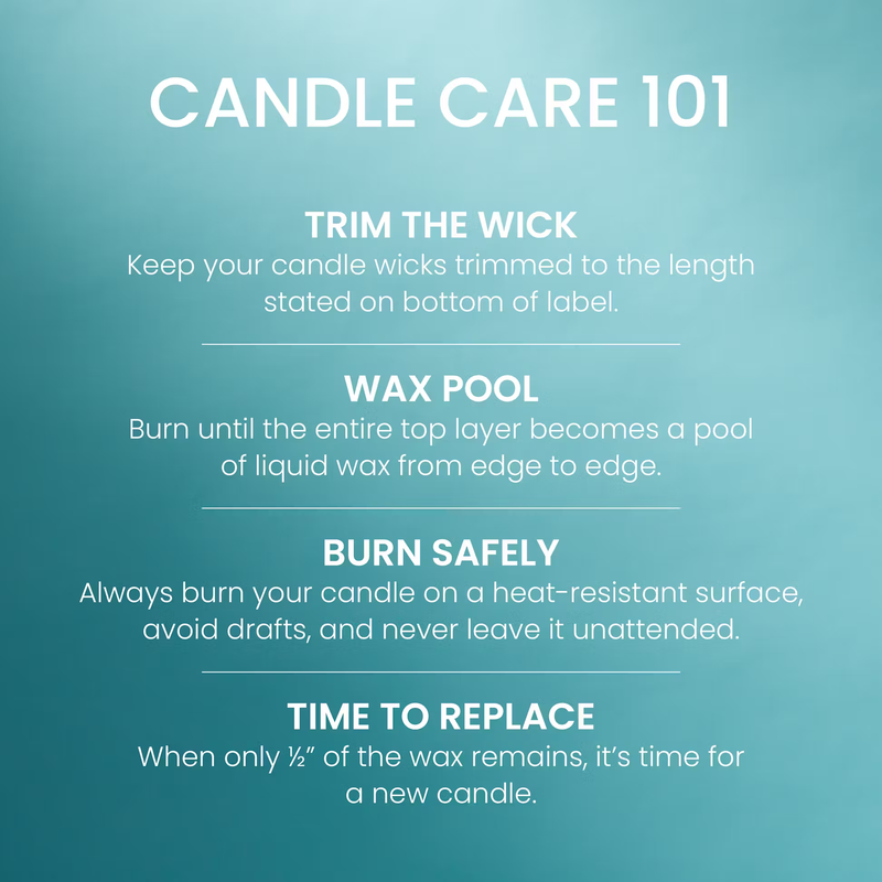 Yankee Candle Original Large Jar Candle - Catching Rays